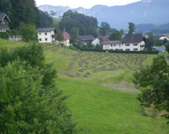 Bauernhof Kasleitner Vila Zell am Moos Exterior foto