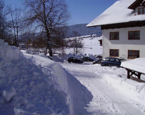 Bauernhof Kasleitner Vila Zell am Moos Exterior foto