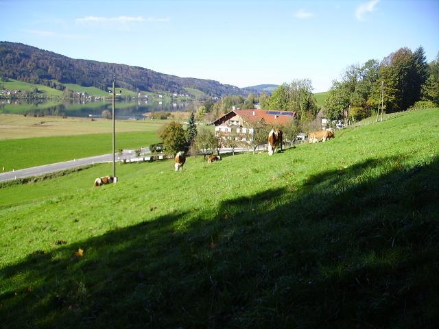Bauernhof Kasleitner Vila Zell am Moos Exterior foto